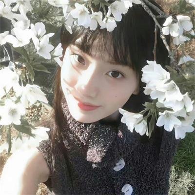 菩提树
